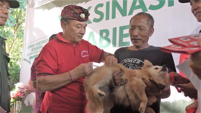 Bupati Gede Dana Buka Vaksinasi Rabies Di Desa Datah Pdiperjuanganbali Id